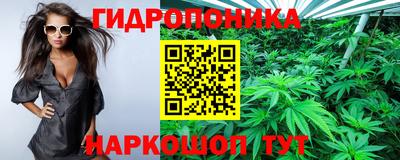 герыч Можга