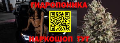 герыч Можга