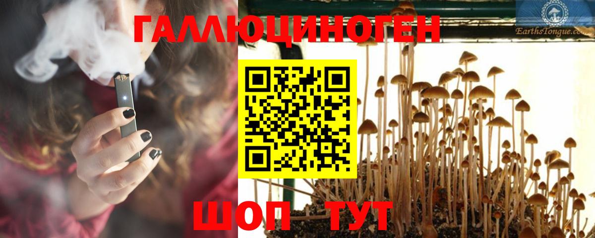 Псилоцибиновые грибы MAGIC MUSHROOMS  Вход с VPN  Грозный 