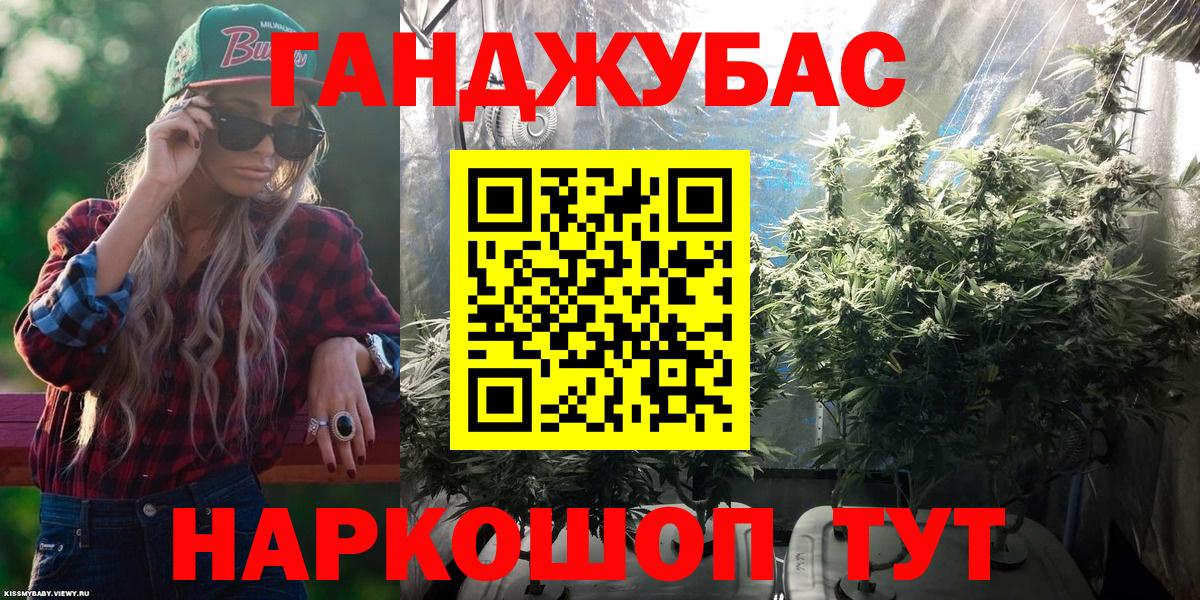 Шишки марихуана SATIVA & INDICA  Бошки марихуана план  Грозный  Вход с VPN  Каннабис индика  Бошки марихуана THC 21% 